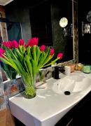 Top Szczutków Top Szczutków