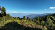 Top Darjeeling