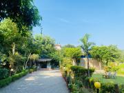 Top Sauraha