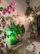 Top Vejer de la Frontera