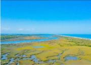 Freshly Renovated Oceanfront Gem Near St Augustine