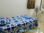 Top Seri Iskandar