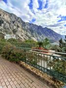 Top Gornji Orahovac