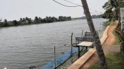 Top Alleppey Top Alleppey