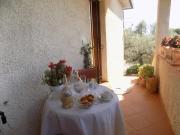 Top Canalicchio Top Canalicchio