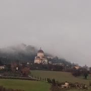Top Todi