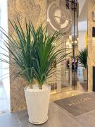 Riverside house Quận Phú Nhuận