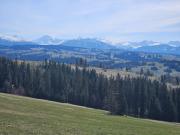 Top Czerwienne Top Czerwienne