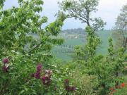 Top Pienza