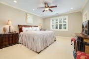 Top Springdale