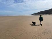 Turnstones - Seaside Home - Free Street Parking