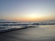 Top Canggu Top Canggu