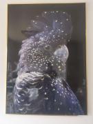 Top Stockton-on-Tees Top Stockton-on-Tees