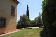 Top Montaione
