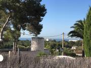 Top Palma de Mallorca