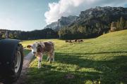 Top Ramsau am Dachstein