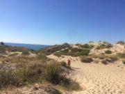 Location 1 à 4 pers. dans résidence Front de mer