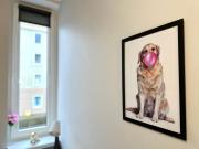 Top Gdańsk Top Gdańsk