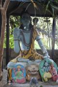 Top Sauraha
