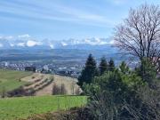 Top Nowy Targ Top Nowy Targ