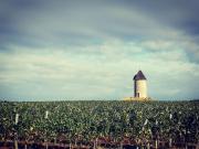 Gîte bucolique de Haut Martet