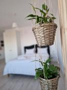 Green Apartment Iasi Green Apartment Iasi