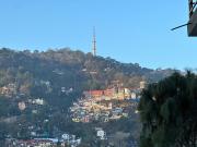 Top Solan