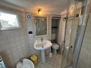 Il giardino degli ulivi