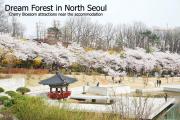 Stay in North Seoul