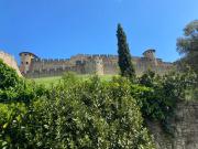 Top Carcassonne