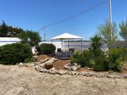 Top Punta Prosciutto