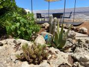 Top Punta Prosciutto