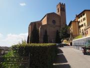 Top Siena