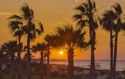 Top Monastir