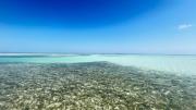Top Punta Allen