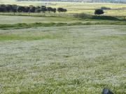 Top Villarreal de San Carlos