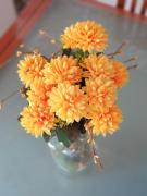 Vatican Apartment Vatican Apartment