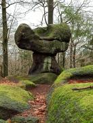 Top Oldřichov v Hájích