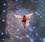 Diving Addiction Resort