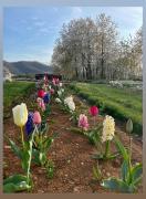 Top Villanova Mondovì