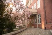 Rooms in Historic Heart of Wroclaw