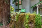Top Guerneville