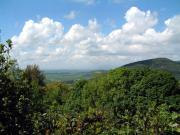 Top Castellina Marittima