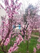 Tavernetta di Francisco