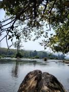 Top Kizhake Chālakudi