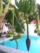 Casa Vignali country house