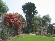 Top San Bartolomeo al Mare