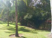 Top Morelia Top Morelia