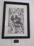 Top Odorheiu Secuiesc