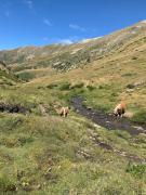 Top Font Romeu Odeillo Via